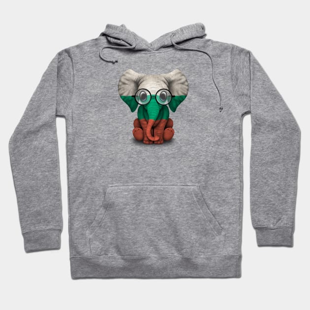 Baby Elephant with Glasses and Bulgarian Flag Hoodie by jeffbartels